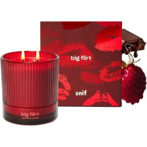 image:imageHalf Baked Apple Cider Smash Scented Candle by Snif Festive Fall Candle 50 Hours 100 Cotton Fiber Wicks Soy Wax Blend NonToxic Vegan 85ozBig Flirt