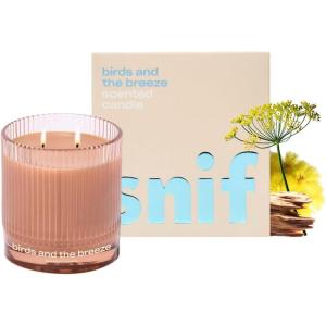 image:imageHalf Baked Apple Cider Smash Scented Candle by Snif Festive Fall Candle 50 Hours 100 Cotton Fiber Wicks Soy Wax Blend NonToxic Vegan 85ozBirds and The Breeze